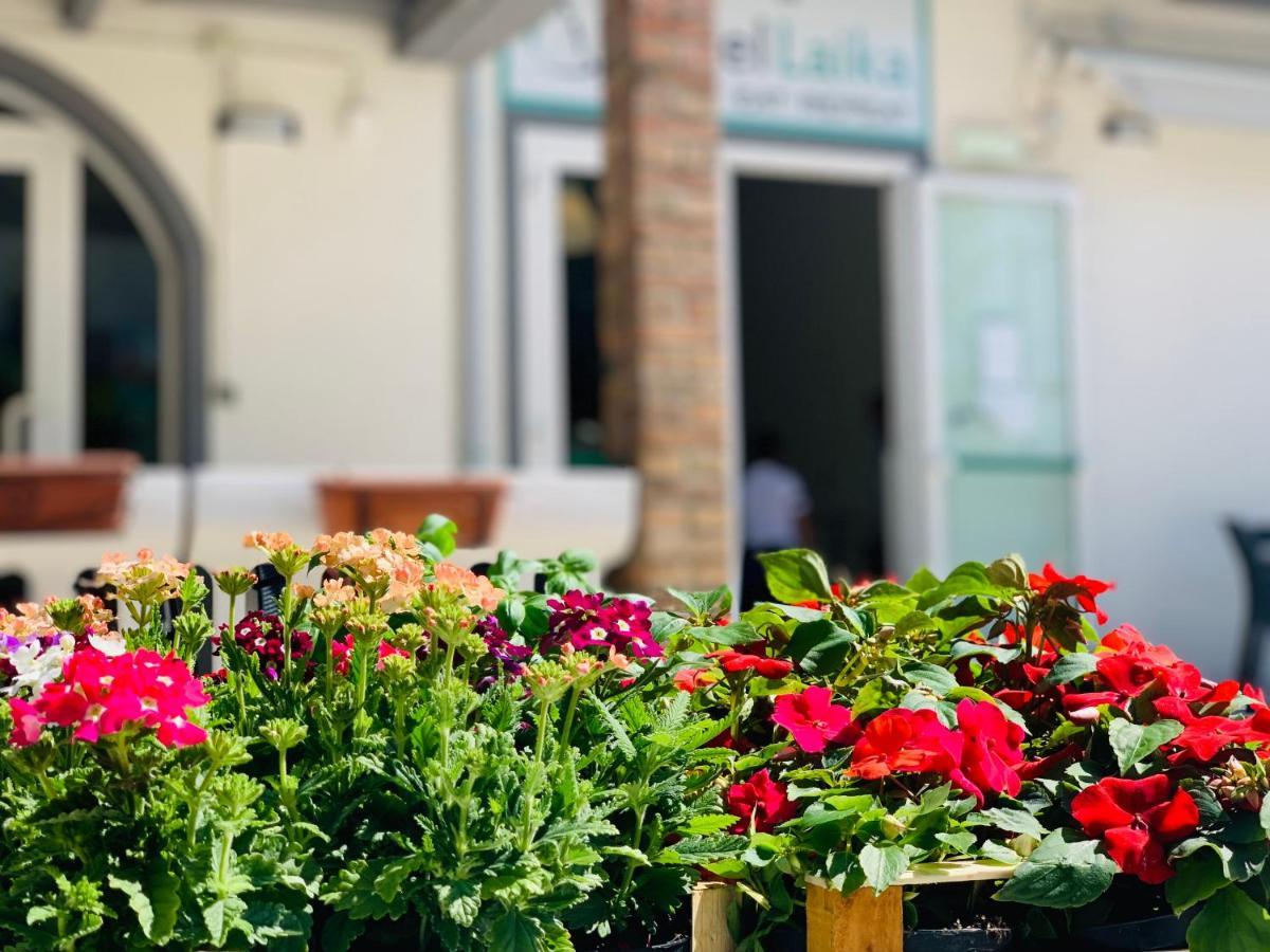 Hotel Laika Rimini Dış mekan fotoğraf